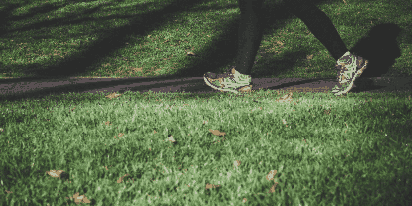 How To Lose Weight Effectively