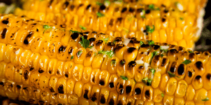Celebrate Labor Day with These Healthy Recipes